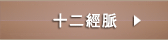 十二經脈